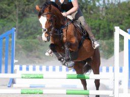 IMG_0673_web